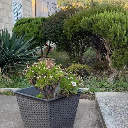 Maslina Apartamento Cavtat