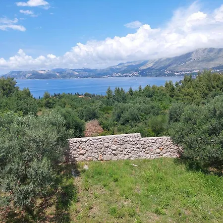 Apartamento Maslina *