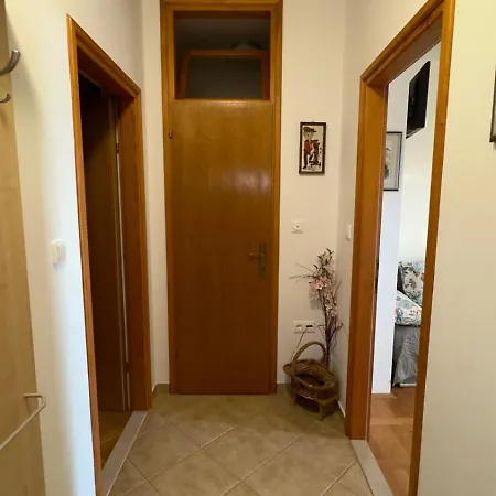 아파트 Maslina 챠브타트