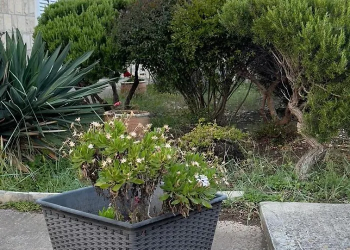 Maslina Appartamento Cavtat