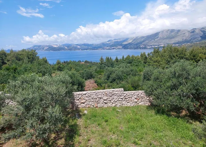 Appartamento Maslina *